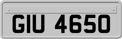 GIU4650