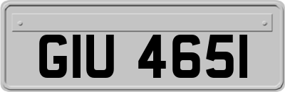 GIU4651