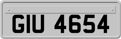 GIU4654