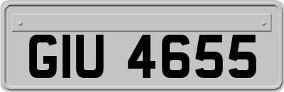 GIU4655