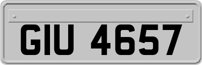 GIU4657