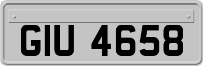 GIU4658