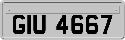 GIU4667