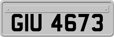 GIU4673