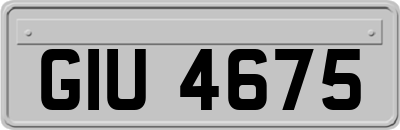 GIU4675