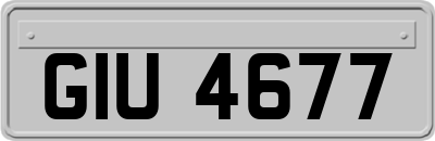 GIU4677