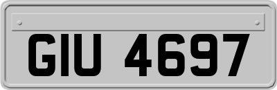 GIU4697