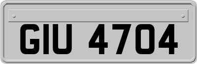GIU4704