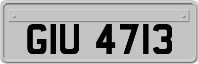GIU4713