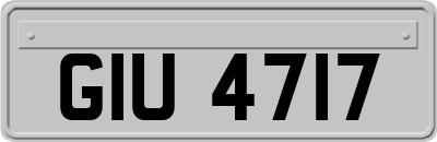 GIU4717