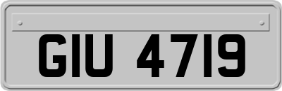 GIU4719