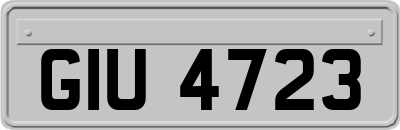 GIU4723