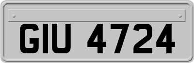 GIU4724