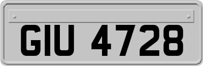 GIU4728