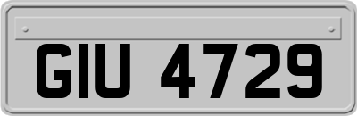 GIU4729