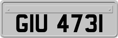 GIU4731