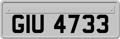 GIU4733