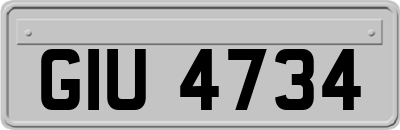 GIU4734