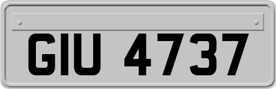 GIU4737