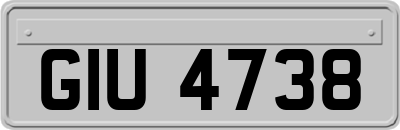 GIU4738
