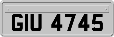 GIU4745