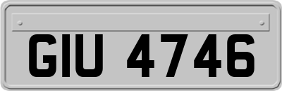 GIU4746