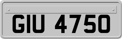 GIU4750