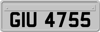 GIU4755