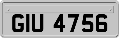 GIU4756