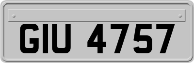 GIU4757