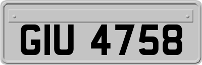GIU4758
