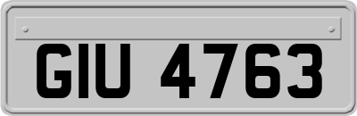 GIU4763