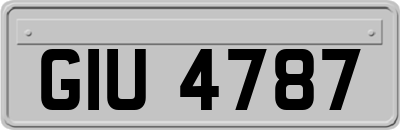 GIU4787