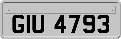 GIU4793