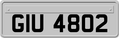 GIU4802
