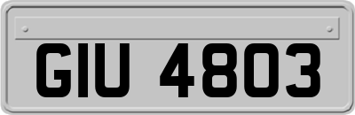 GIU4803