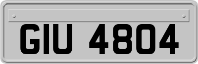 GIU4804