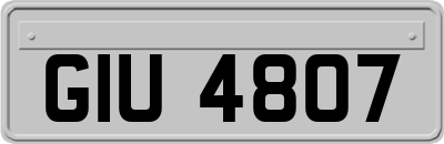 GIU4807