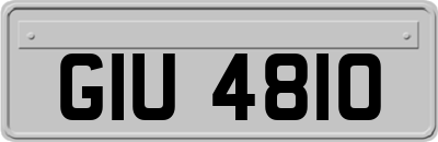 GIU4810