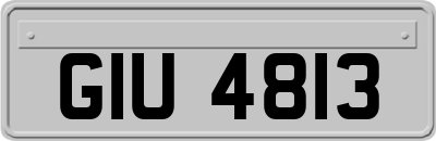 GIU4813