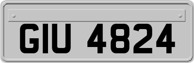 GIU4824