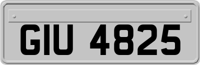GIU4825