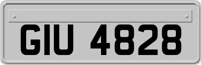 GIU4828