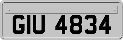 GIU4834