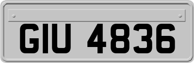 GIU4836