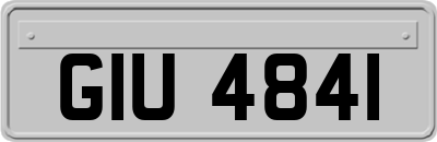 GIU4841