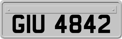 GIU4842