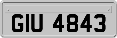 GIU4843