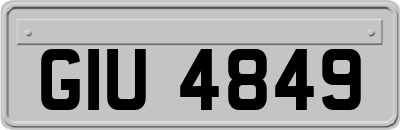 GIU4849