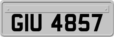 GIU4857